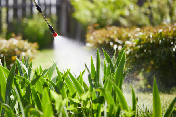 Tamper-Resistant Bait Stations for Rodents in Midlothian