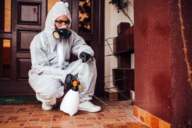 Attic and Crawl Space Rodent Treatment in Midlothian