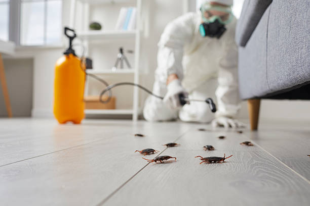 Commercial Rodent Management in Midlothian